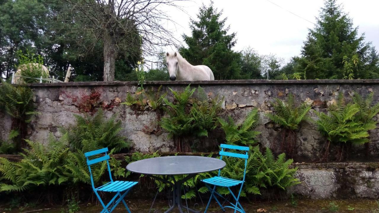 Villa Les Anniquins Ivoy-le-Pré Esterno foto